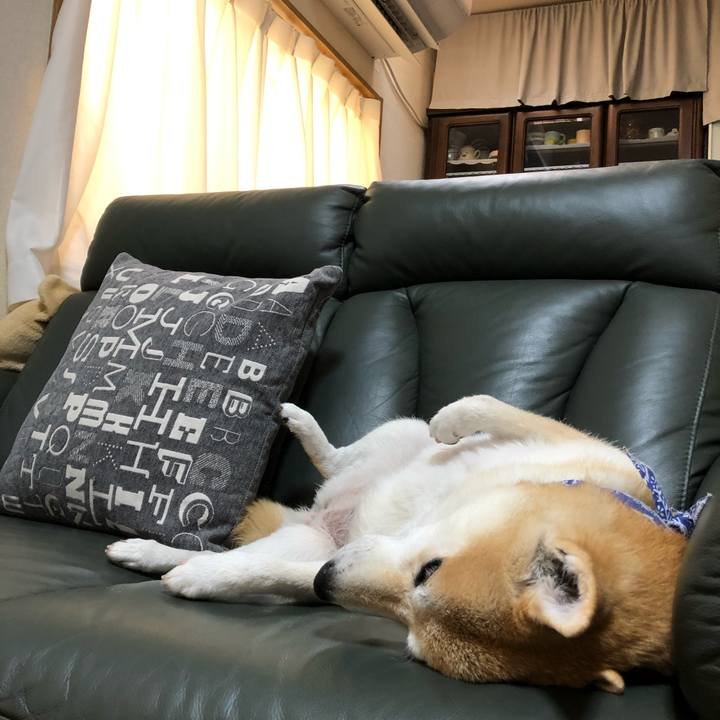 2fad32e7 618f 4bf0 ac80 2ec46a083439 1598594950864