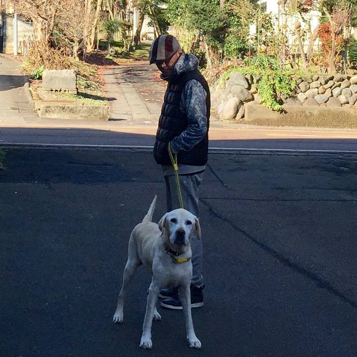 2fad70a8 0ea1 428e a3e8 2b1c298e04e9 1511838963982