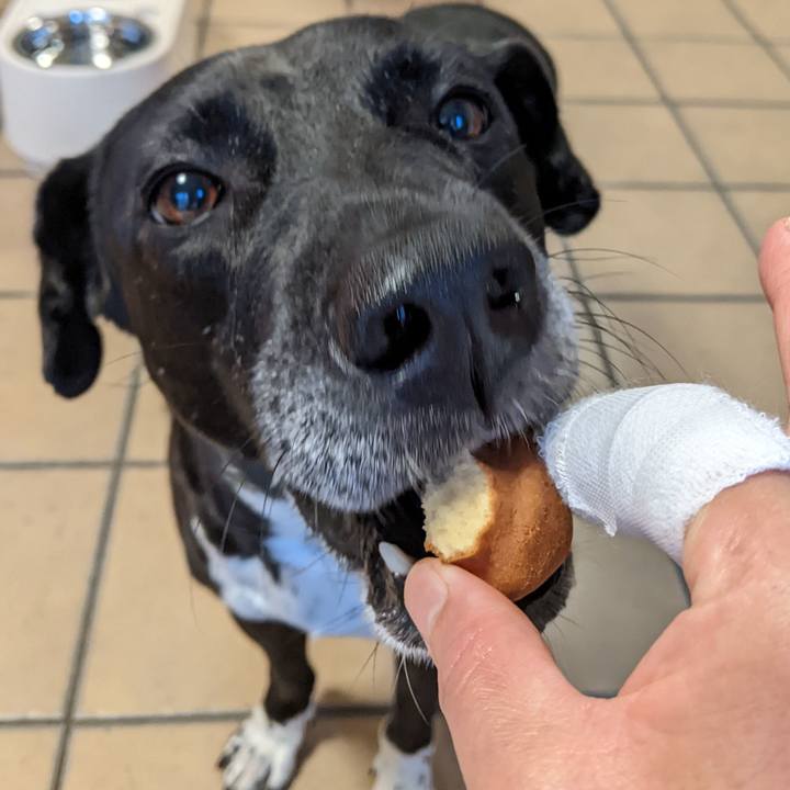 2fad7147 fe12 4eca 9bfb 2f1916414908 1654421305703