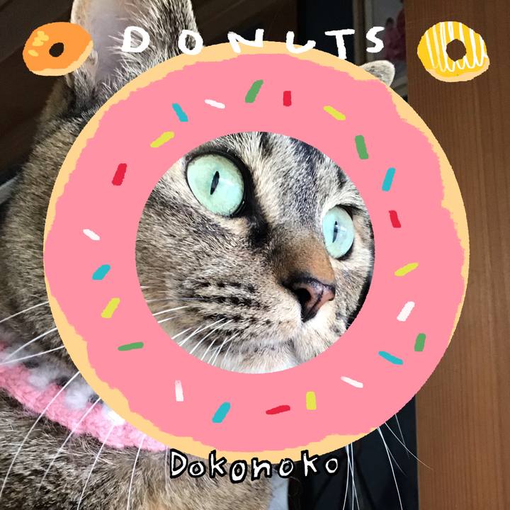 2fad7364 3122 44b3 953f 12cf819f7267 1744356384078