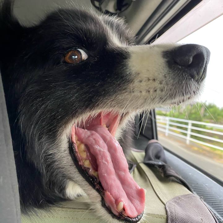 2fadad5f 5e11 479e b6ca 5bcdfb352724 1691445514377