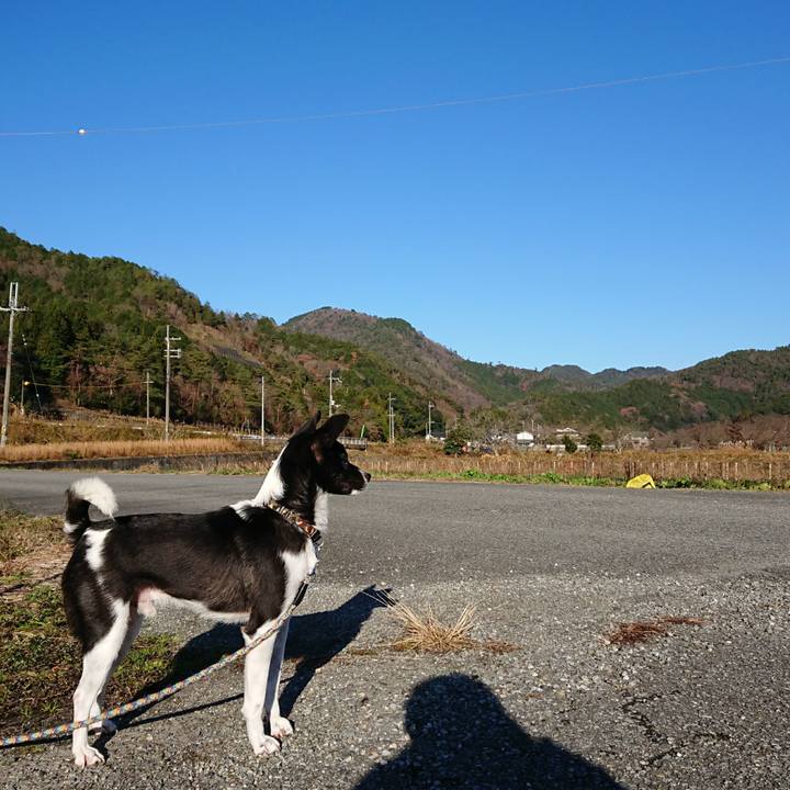 2fadc2af b656 4042 b244 f366a340408f 1512518998515