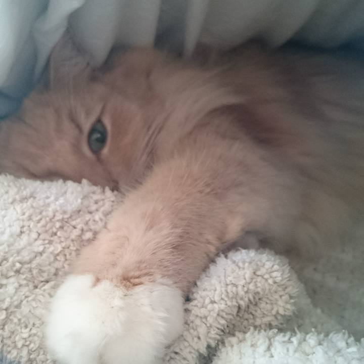 2fadf752 f9a4 45d8 83f1 dc2f34d758e7 1513138080190