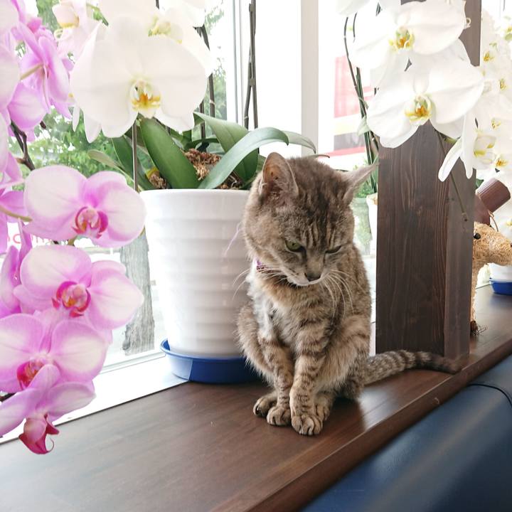 2fae0236 7d51 49f6 94dd 6a611ebd0262 1592015680212