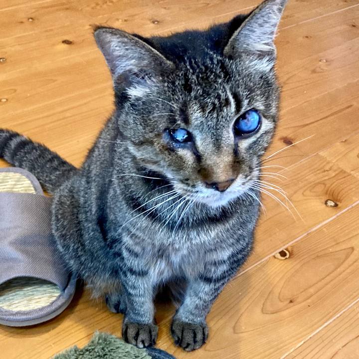 2fae0366 d2cf 4dac af47 4f631bf23c85 1660185305428