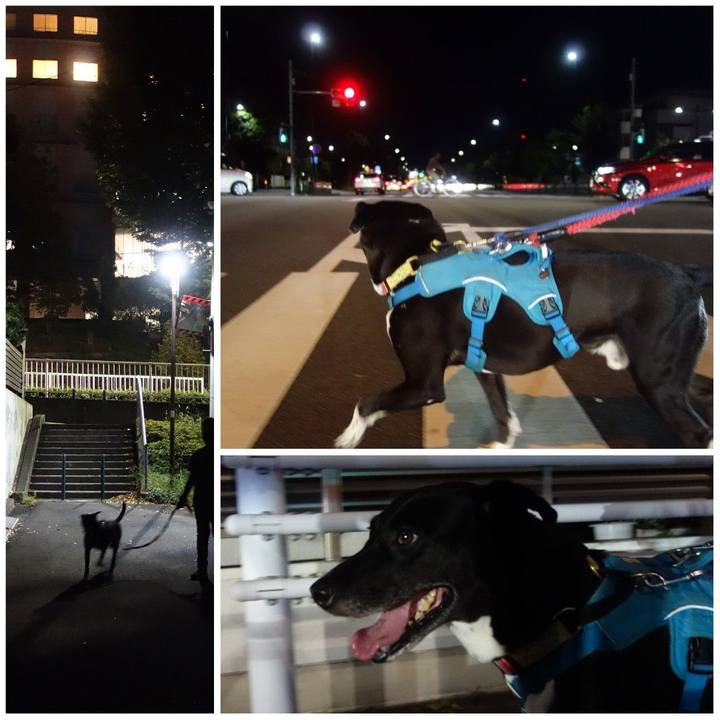 2fae0876 b409 4268 b745 fed15236f880 1633949812996