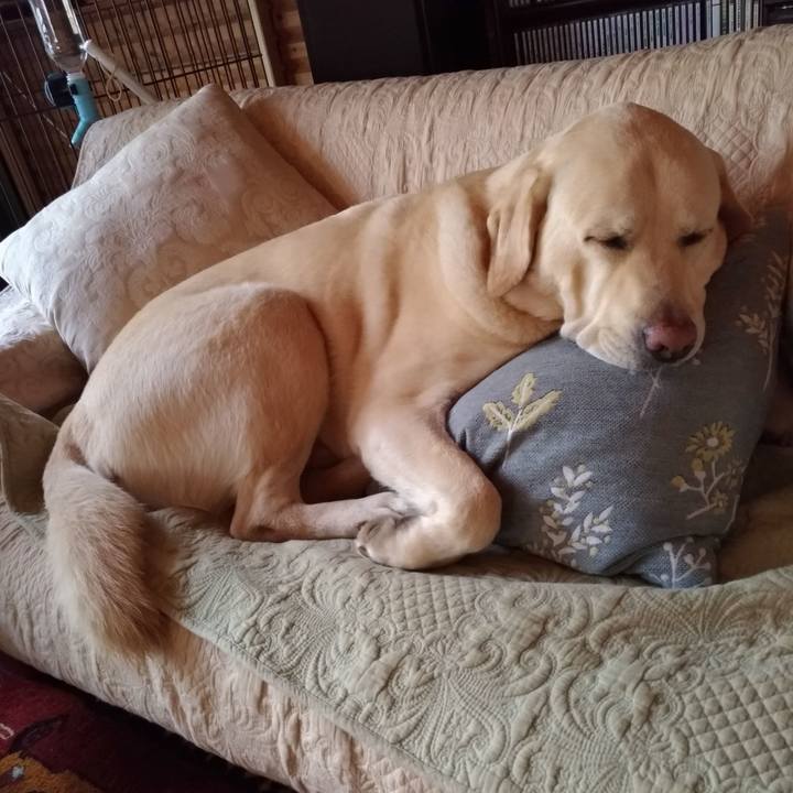 2fae0e00 b97e 47ff 9702 a2c69c63a0d1 1634553484005