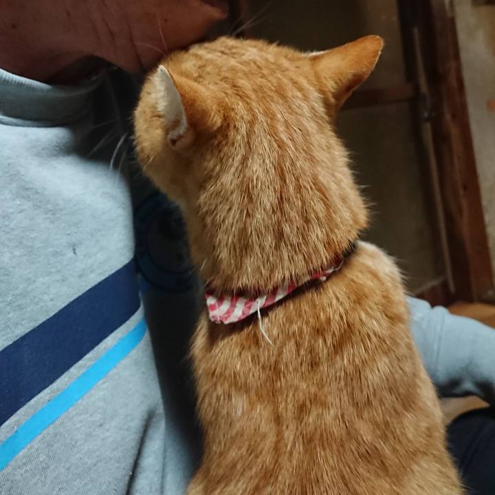 2fae3334 7f4b 4491 a3da ede77a284599 1605643013158