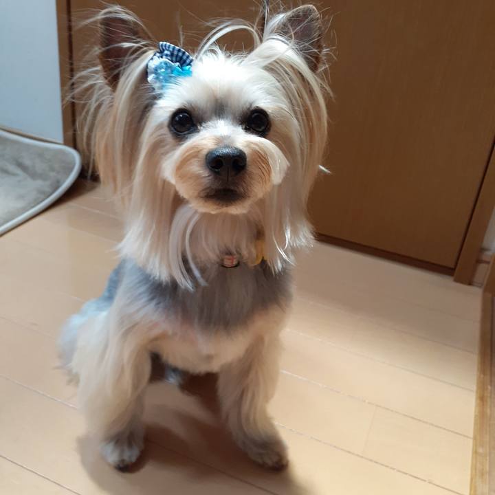 2fae5cc9 a0a8 49ba 9981 a2212bf510ea 1654826764274