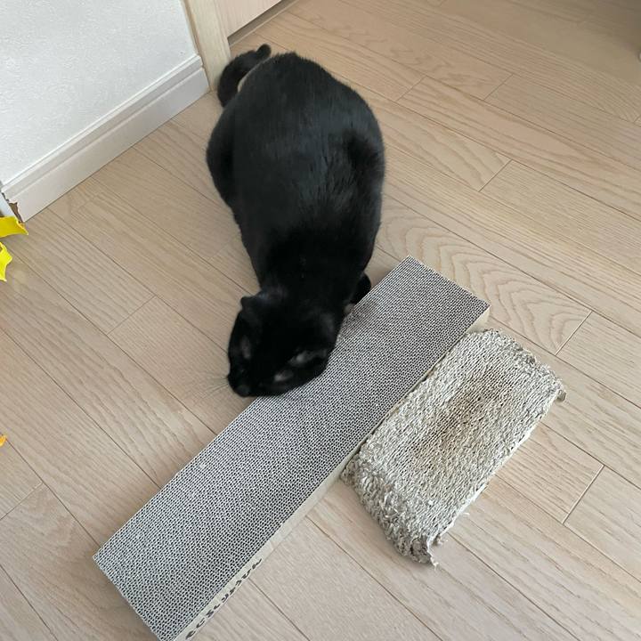 2fae5f1a 6792 445e 8f3d 3dbf3cff2eb2 1671932250786