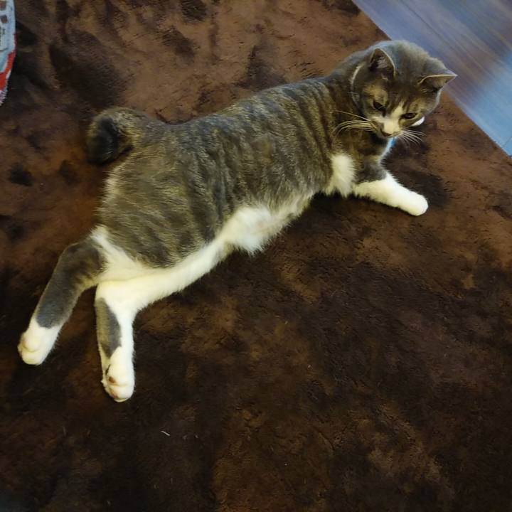 2fae7c76 a294 42fd 8b68 96859d8dbfca 1586251799191