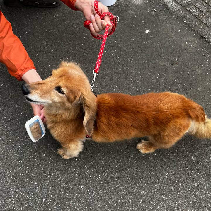 2fae9831 689d 4d00 aa91 355ee5908c3a 1653998442247