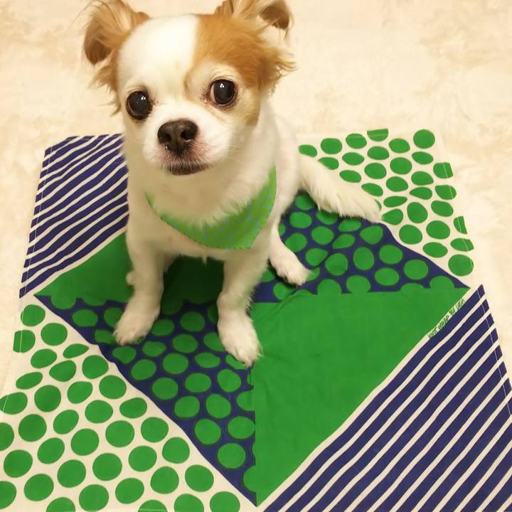 2faea42a 3ab8 4a3b a133 7e559e93dc16 1588595587226