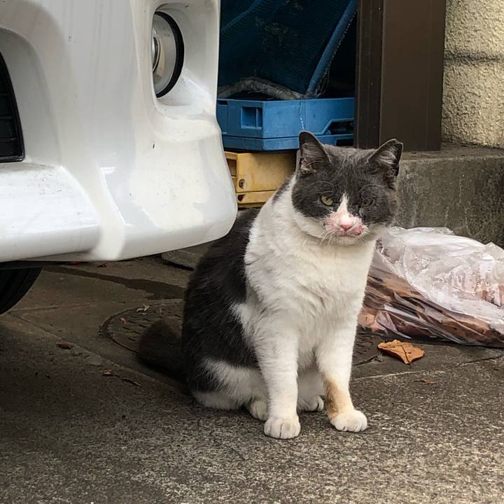 2faecaa9 ffa7 4848 bd3f 1f32787fcda4 1609361966938