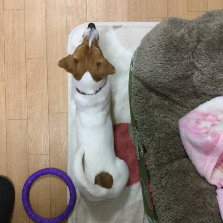 2faed7fa 72a2 457d b8ed 9434732a9383 1518411704850