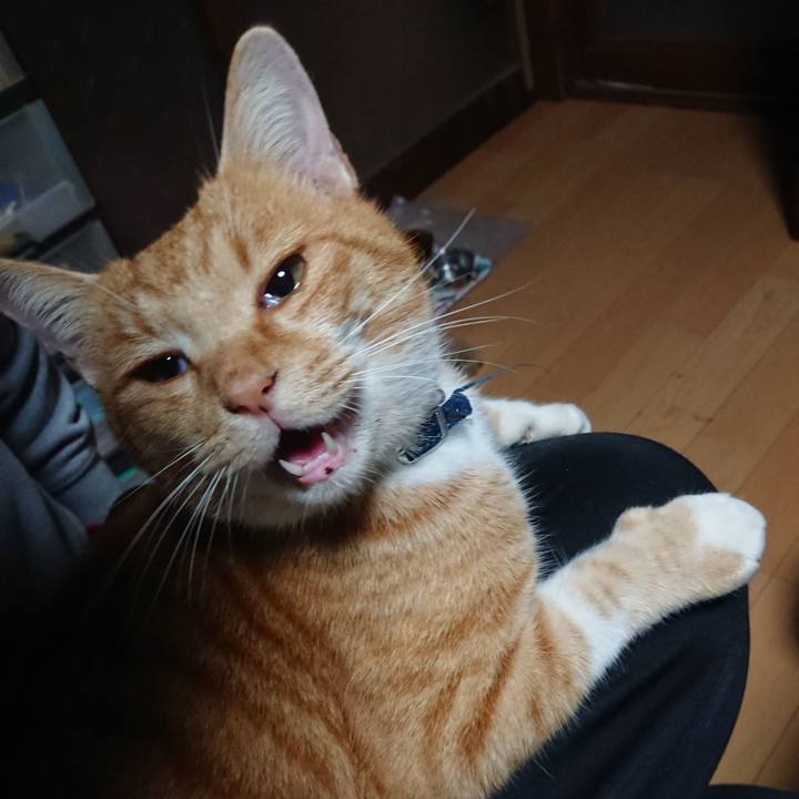 2faee57e ef24 439d be66 cf893954b8a9 1604355077049