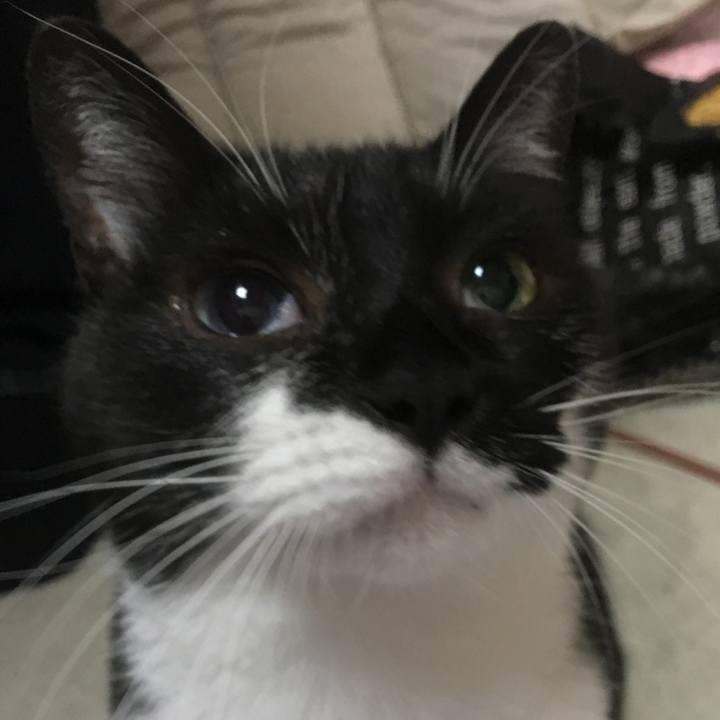 2faef040 46b6 4ca0 9864 0a288043841b 1541240012314