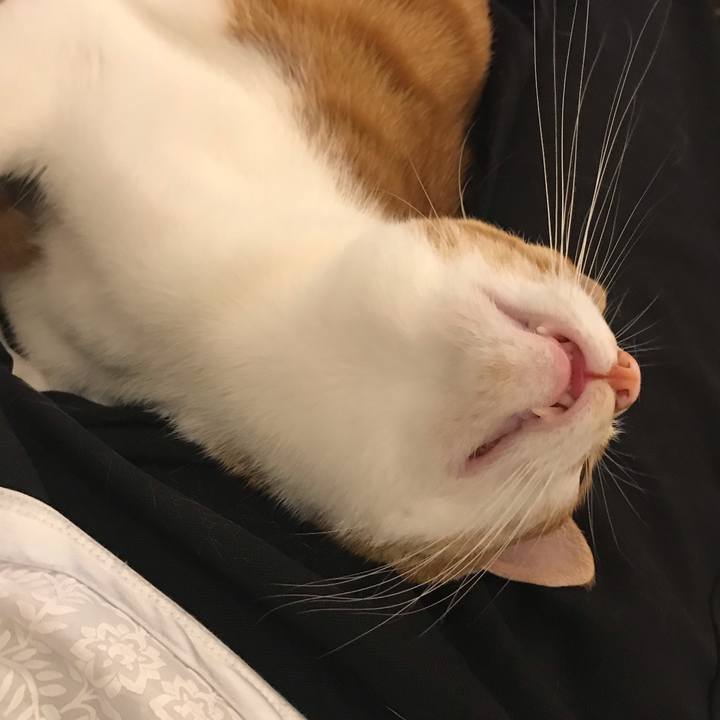 2faf27d9 440f 42cb 9603 132aeeb25e04 1563359046892