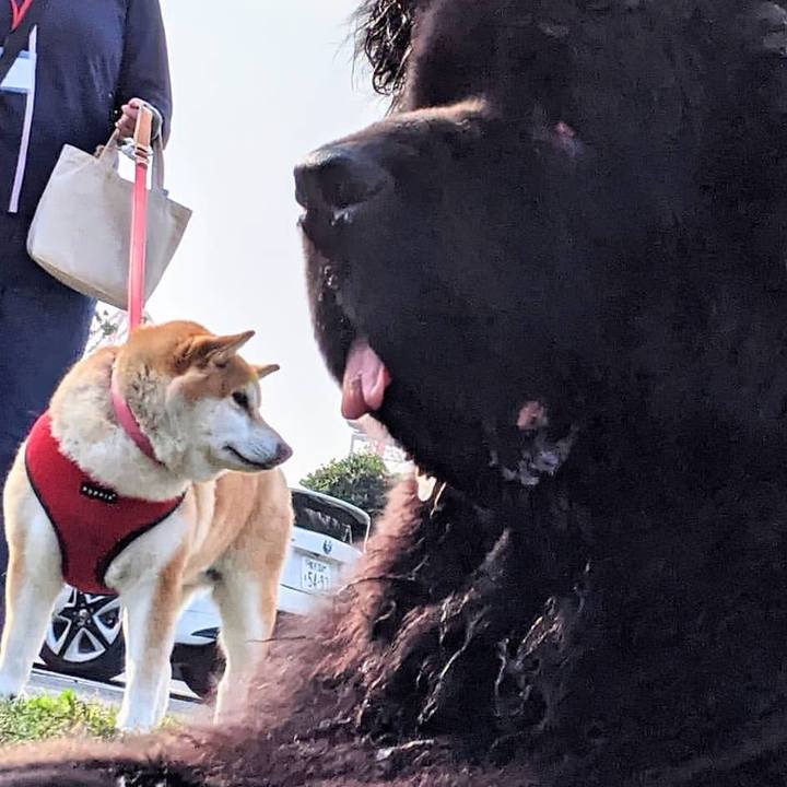 2faf4857 afe0 4beb ad98 8d82822ac381 1604444930991