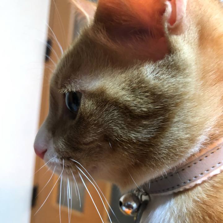 2faf72e1 a613 46b5 8ff7 002022935047 1547731797897