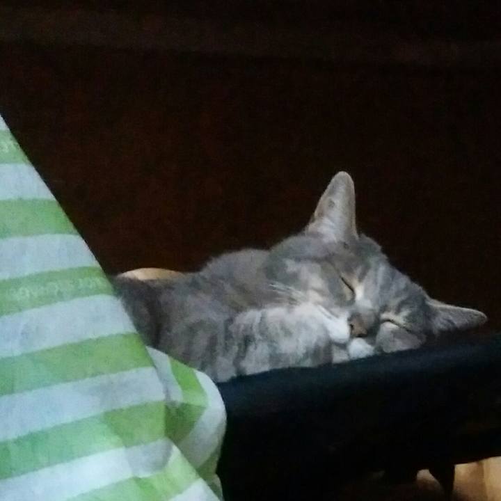 2faf9cc3 14d4 42d7 b68b e996662ce4f2 1524941355997