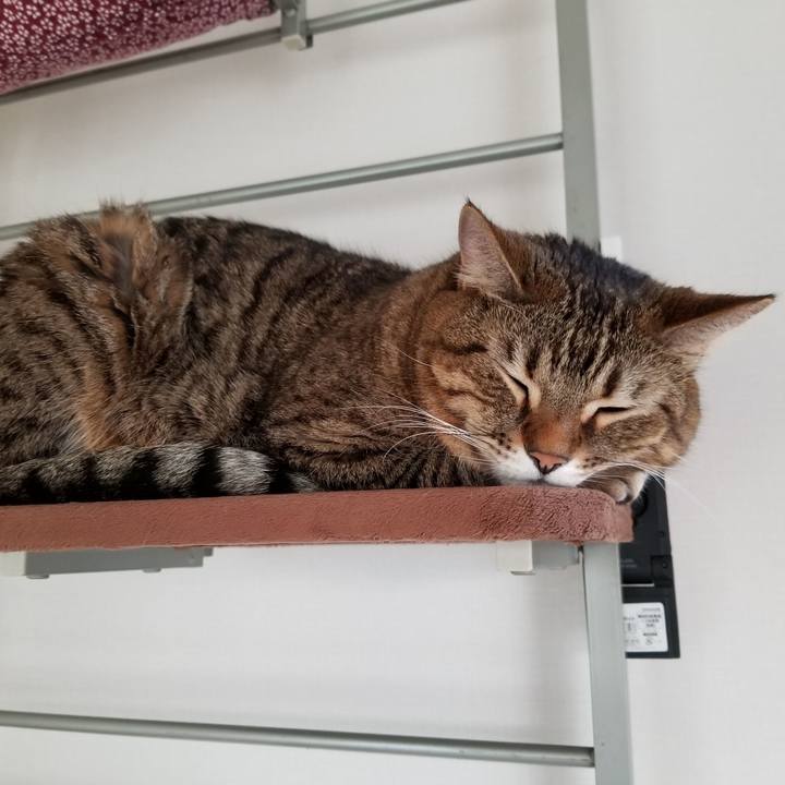 2fafb300 1fb6 4356 bbbf 1f3248eda83d 1609714676316