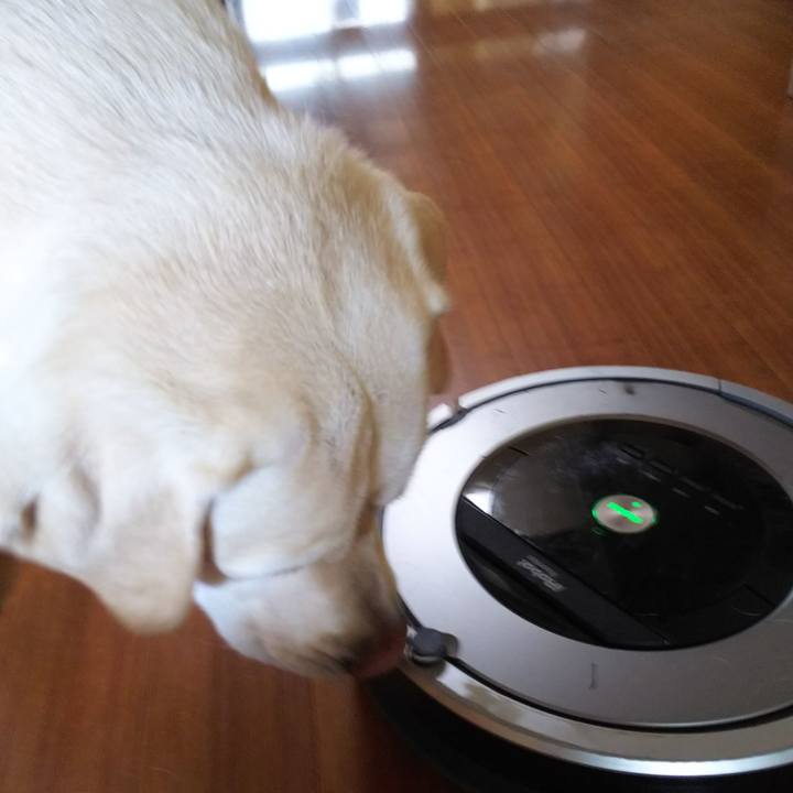 2fafee09 4f84 4a0d b3cb a1fc7f85b50a 1559525798628