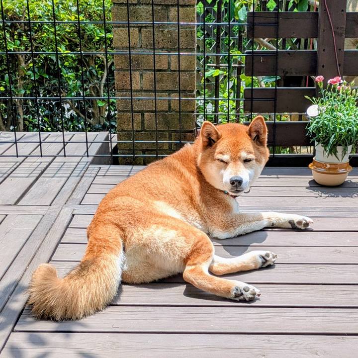 2fafefb2 4af1 4b26 a13b bb2f8b78804f 1748860558629