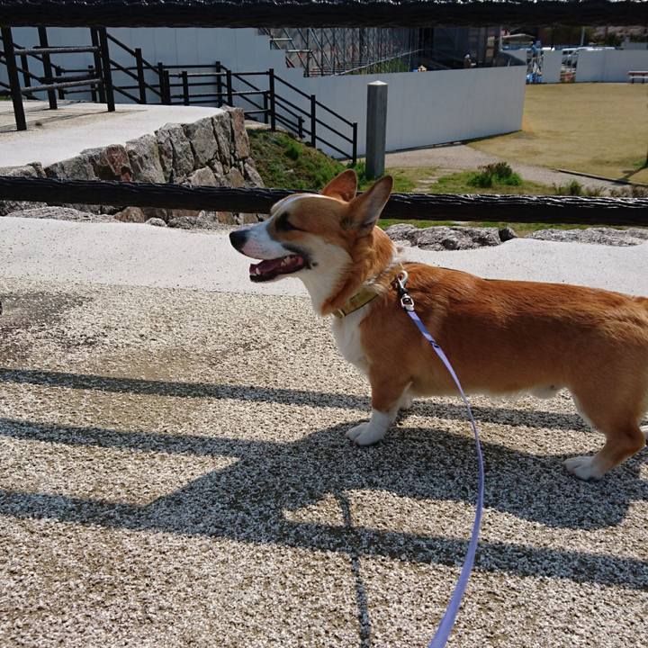 2faff0e9 1df9 4c08 ab1a c0413db9604e 1585808743489