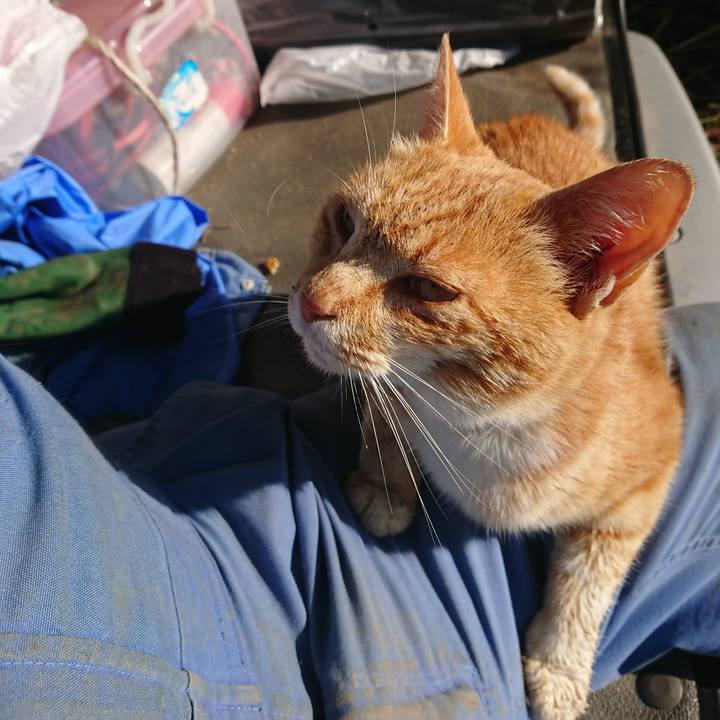 2fb01d7b afd2 4f0f 9efc e26931f1f6e4 1590790597397