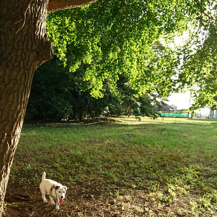 2fb03b72 1d92 4d7b b5eb a522e6d2724e 1534459455690