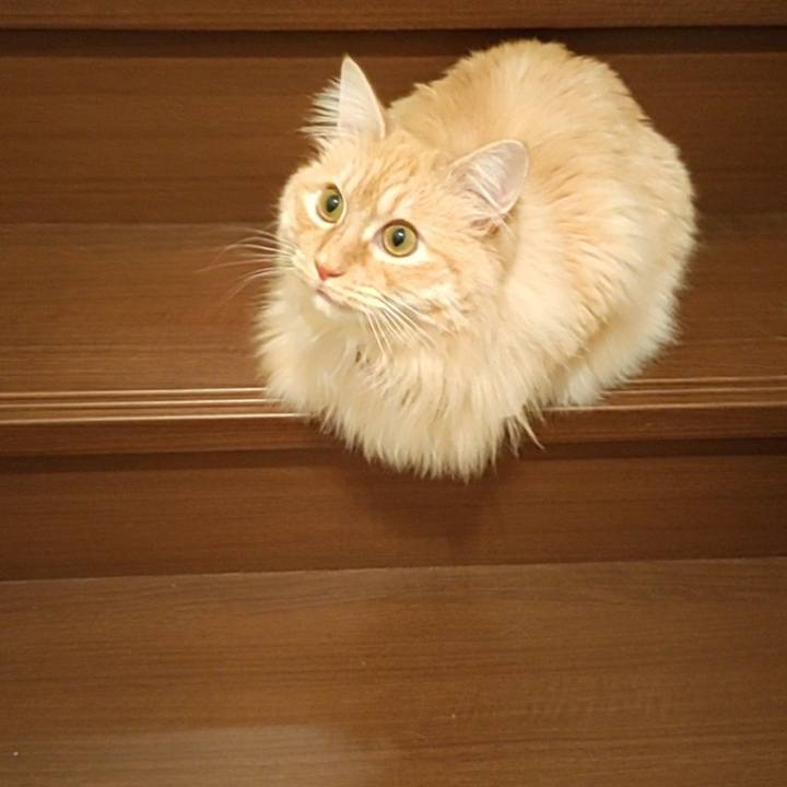 2fb073c9 11a6 425f b261 b85b3b40027b 1681395370268