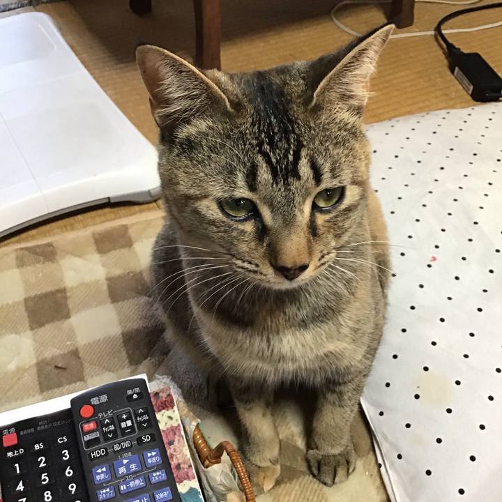 2fb08f6b 714e 4284 b634 c446044a5331 1582597738424