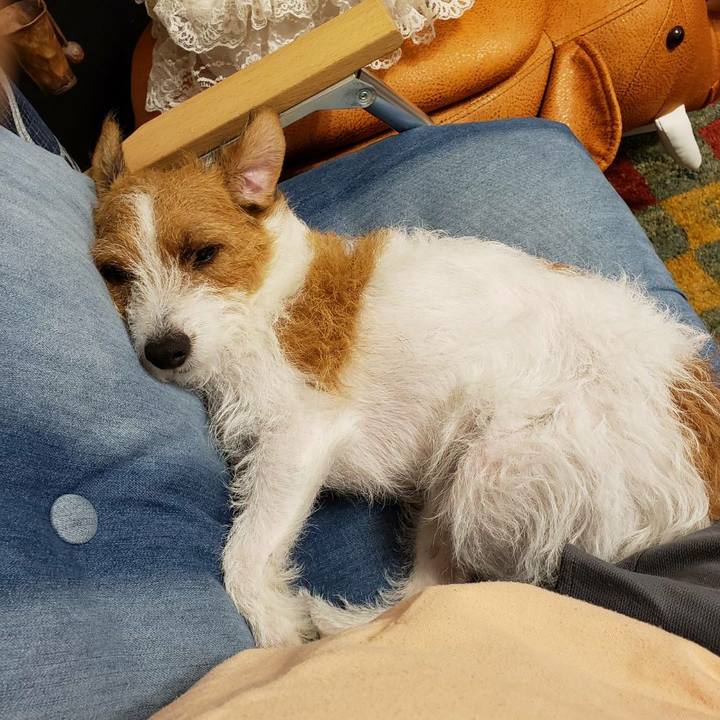 2fb0a1c7 ec91 4f3f 84e8 1e4c50a76f7d 1598357736743