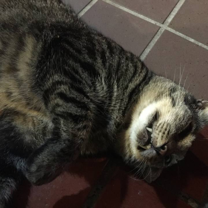 2fb0d635 4366 471f a34a 87d8cadbbbf6 1546592368711