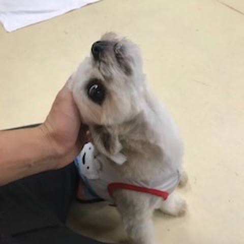 2fb13109 bb6c 4e60 96c8 4ef59b7eccfc 1570536842783