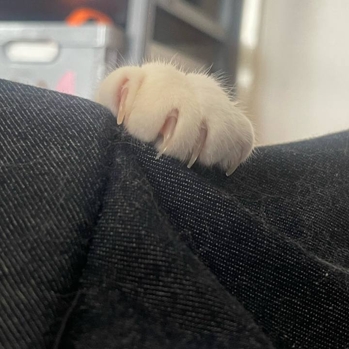 2fb13816 c0d1 48ef a396 5f5188206bcf 1720849496905