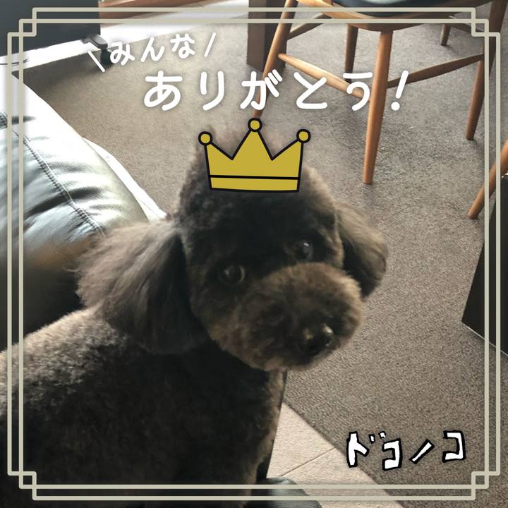 2fb13a41 b5d8 44e9 b677 7e054fd26f82 1623081216319