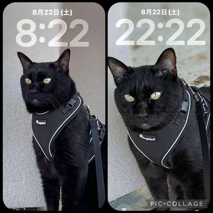 2fb15c03 7f9b 4237 87c4 5209ba2c32a9 1787405723053