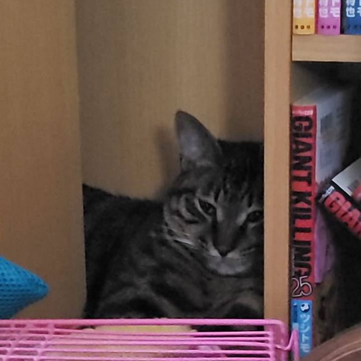 2fb1687d 724b 46fa 8eda 258d3160497b 1560418436509