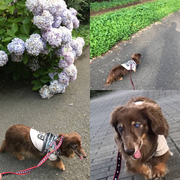 2fb1a1d4 6503 45ce b100 144b78f8915d 1530618812178