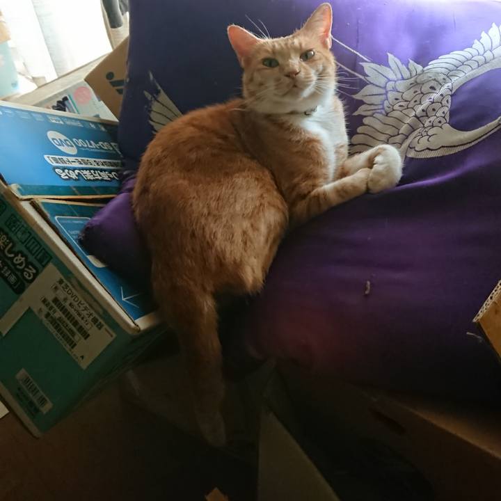 2fb1dce1 030a 4133 a884 163961221c6d 1597030439041