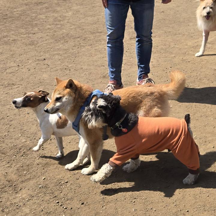 2fb1f450 8291 4c08 ae9c 95e94fdd4e9b 1774098134505