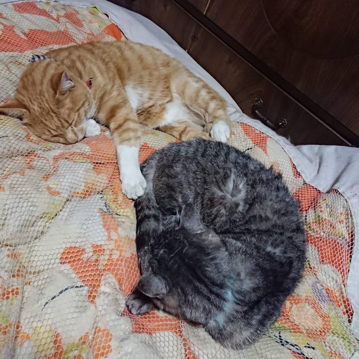 2fb21fef 8f2a 49a7 8df1 09d9a4ec4974 1604232913276