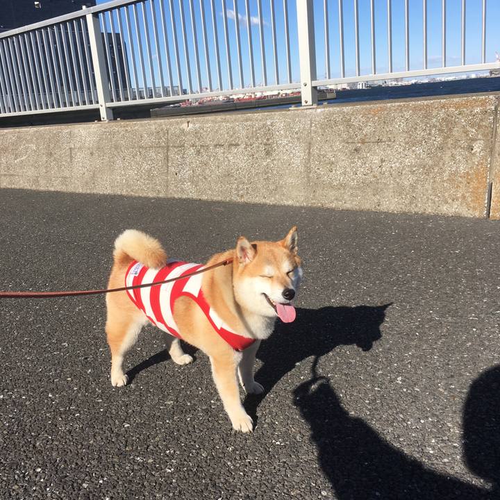 2fb235d8 3a09 4153 a5c0 028284a44bff 1548572687349