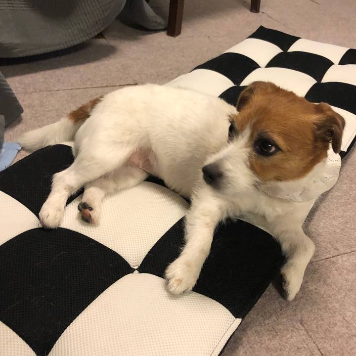 2fb24001 9f9f 4d21 b676 05a23bab2f97 1589977224200