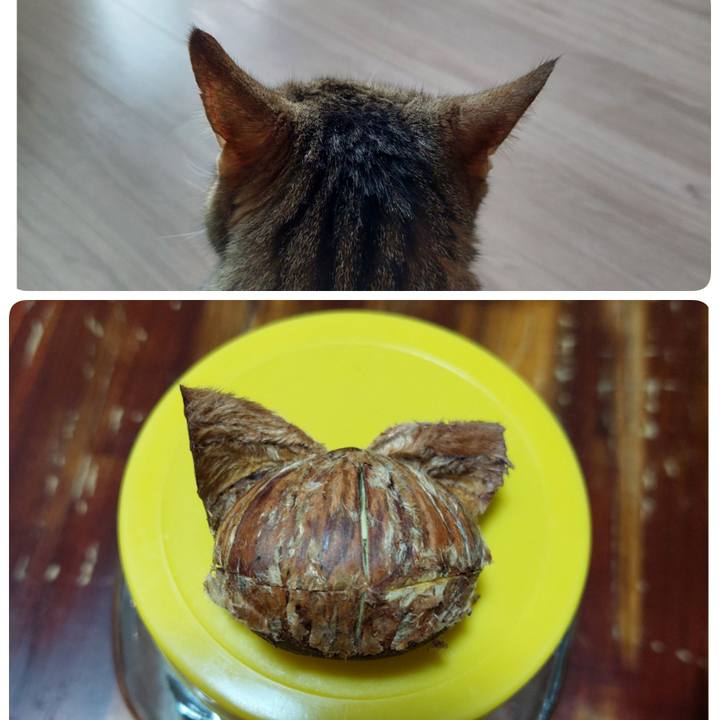 2fb25cd6 1a3a 4f08 83f8 9f25a91e993f 1729148387238