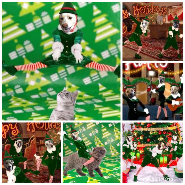 2fb2811c c507 4205 a63b fe8bcd8da5bc 1514202944902