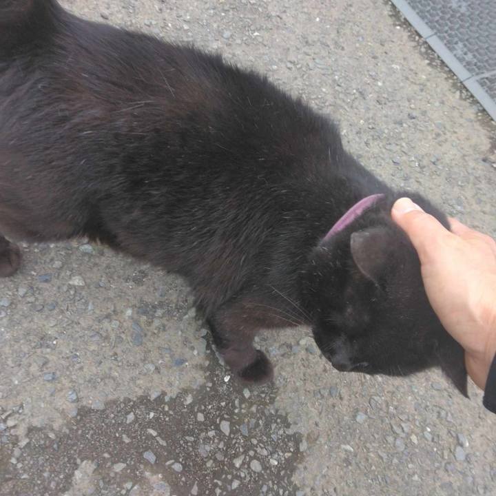 2fb2a344 1224 4fc6 8dc0 6a16e987155c 1716951447257