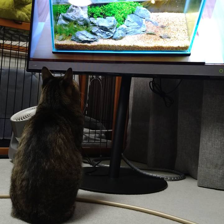 2fb2ad86 5205 448b 8f0d d28e0c6700bc 1638604460781